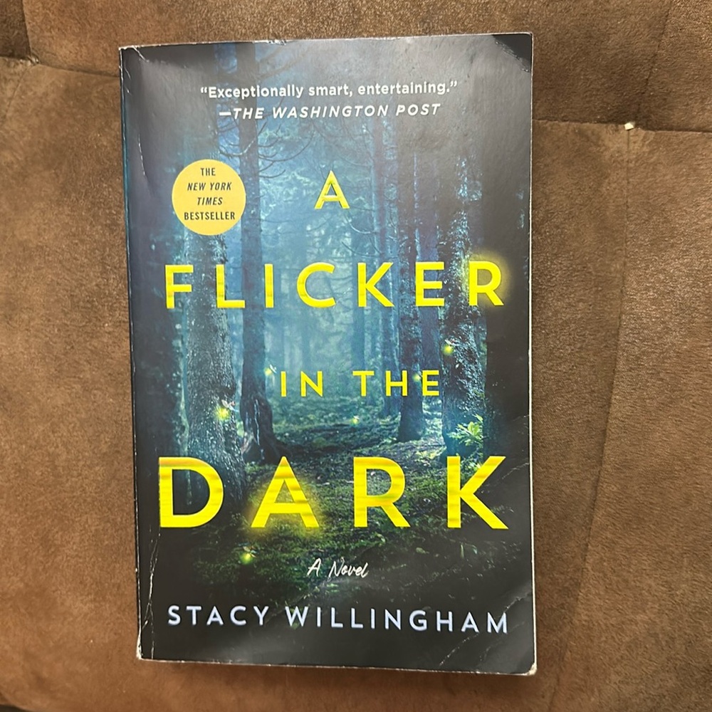 A Flicker In The Dark - Stacy Willingham